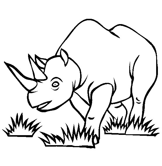 dibujo de rinoceronte