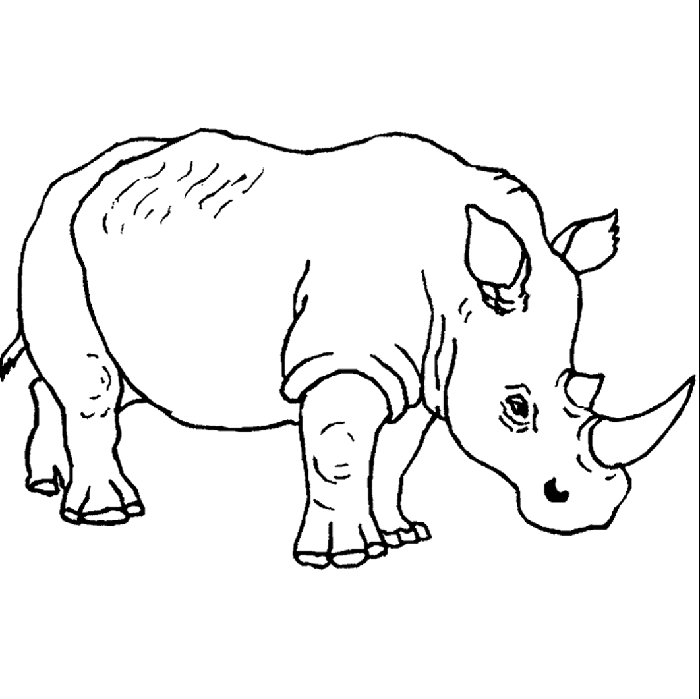 rinoceronte para colorear